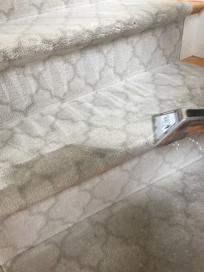 Carpet Cleaning in Reading, MA (1)