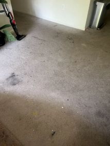 Before & After Carpet Cleaning in Cambridge, MA (2)