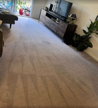 Before & After Carpet Cleaning in Cambridge, MA (4)