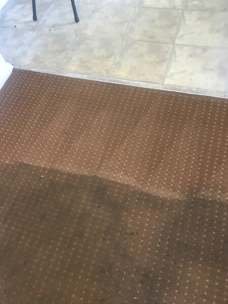 Carpet Cleaning in Wilmington, MA (1)