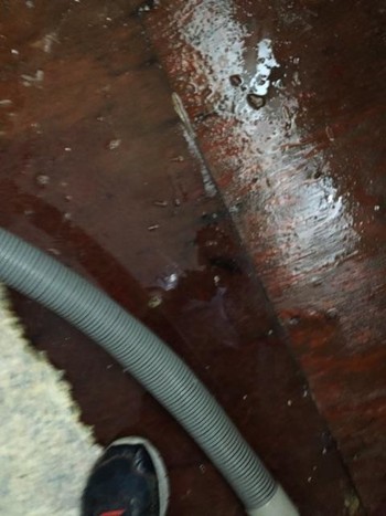 Water Damage Restoration in Lexington, MA by Colonial Carpet Cleaning