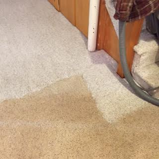 Before and After Carpet Cleaning in Wellesley, MA