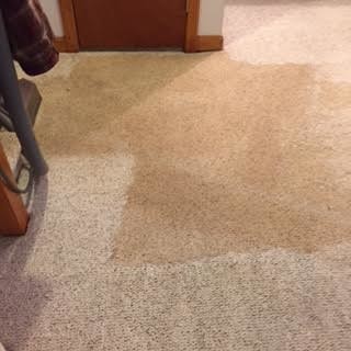 Before and After Carpet Cleaning in Wellesley, MA