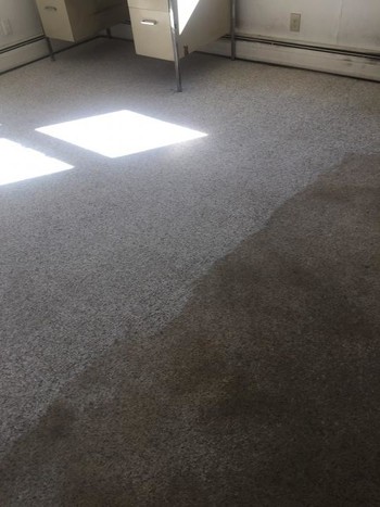 Stain Removal Carpet Cleaning